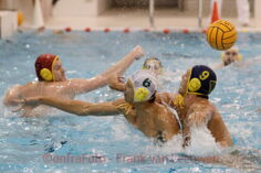 Een nieuwe website voor H.Z.ZIAN